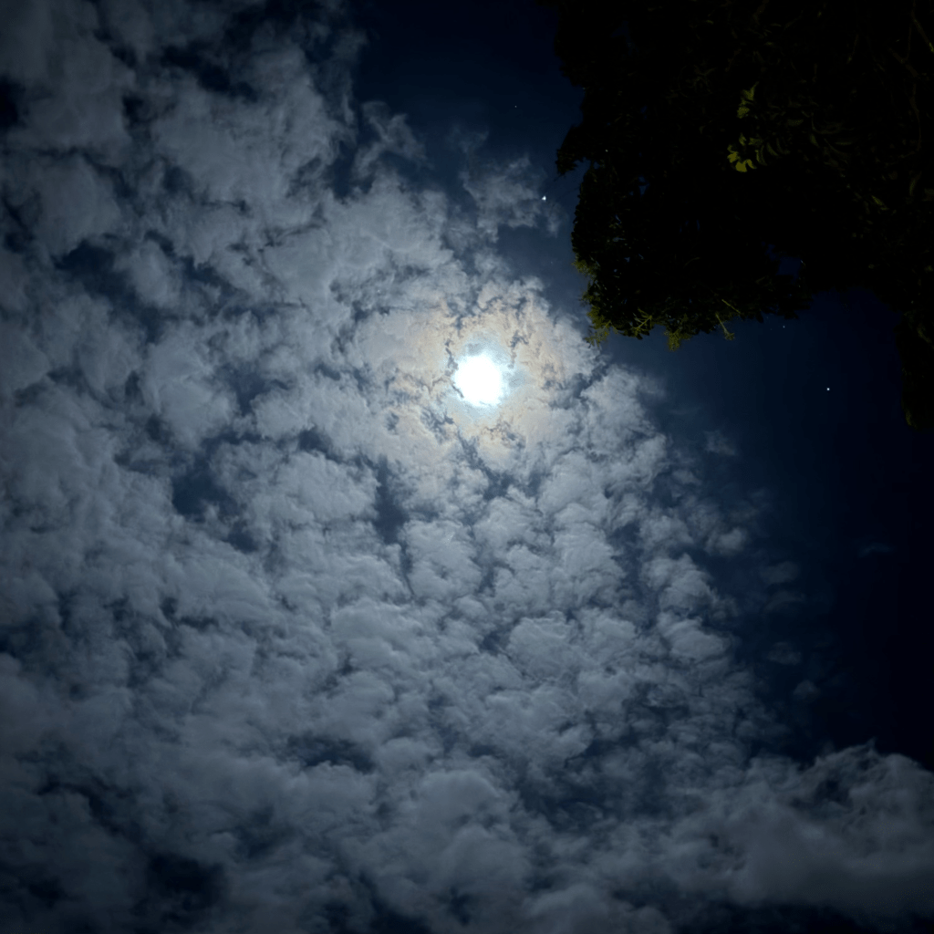 God, am I a Christian? Lyrics and Analysis